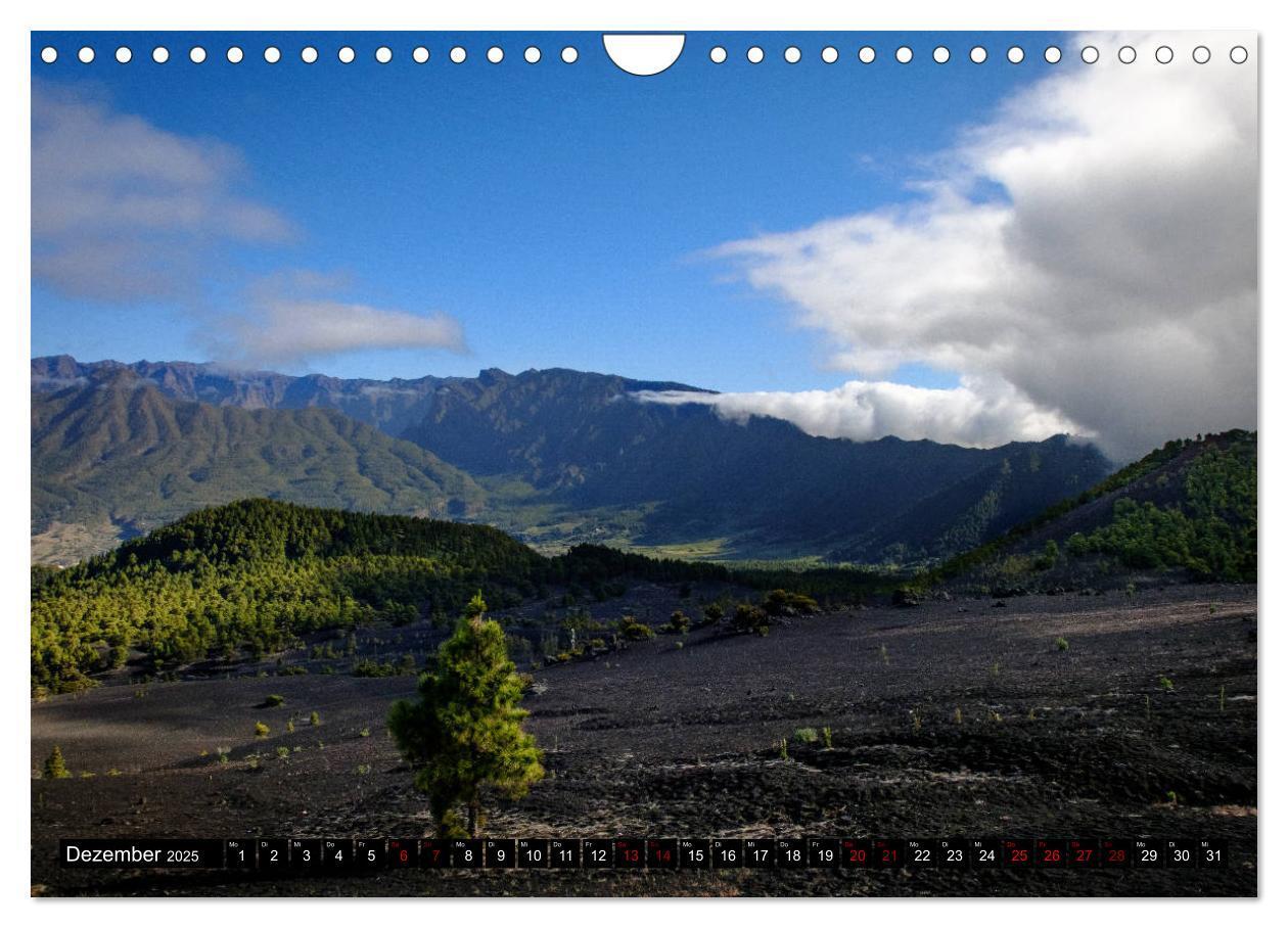 Bild: 9783435328413 | Natur pur erleben auf La Palma (Wandkalender 2025 DIN A4 quer),...