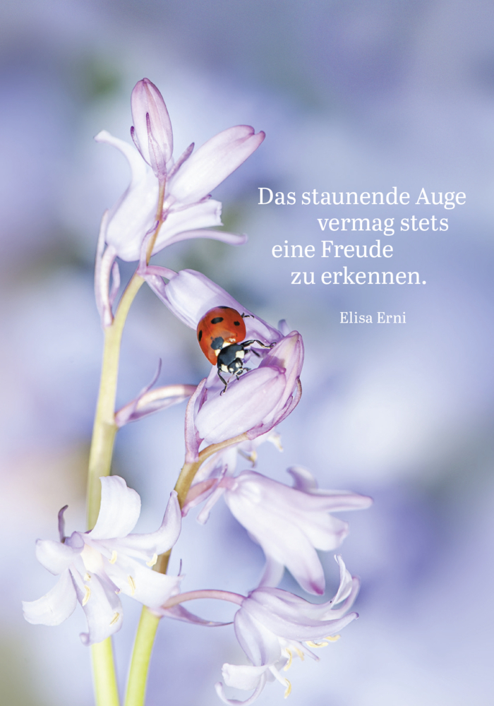 Bild: 4036442010471 | Buchkalender 2024: Glücksmomente | Groh Verlag | Kalender | 144 S.