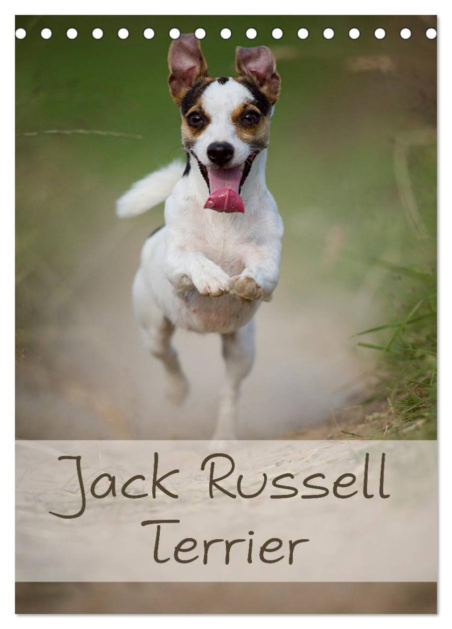 Cover: 9783383519116 | Jack Russell Terrier (Tischkalender 2024 DIN A5 hoch), CALVENDO...