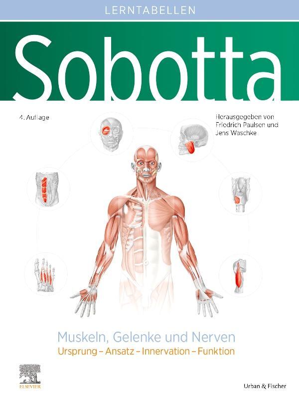 Cover: 9783437441608 | Sobotta Lerntabellen Anatomie Muskeln, Gelenke und Nerven | Buch