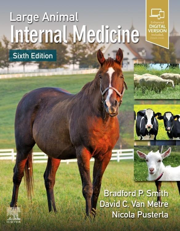Cover: 9780323676885 | Large Animal Internal Medicine | Bradford P. Smith (u. a.) | Buch