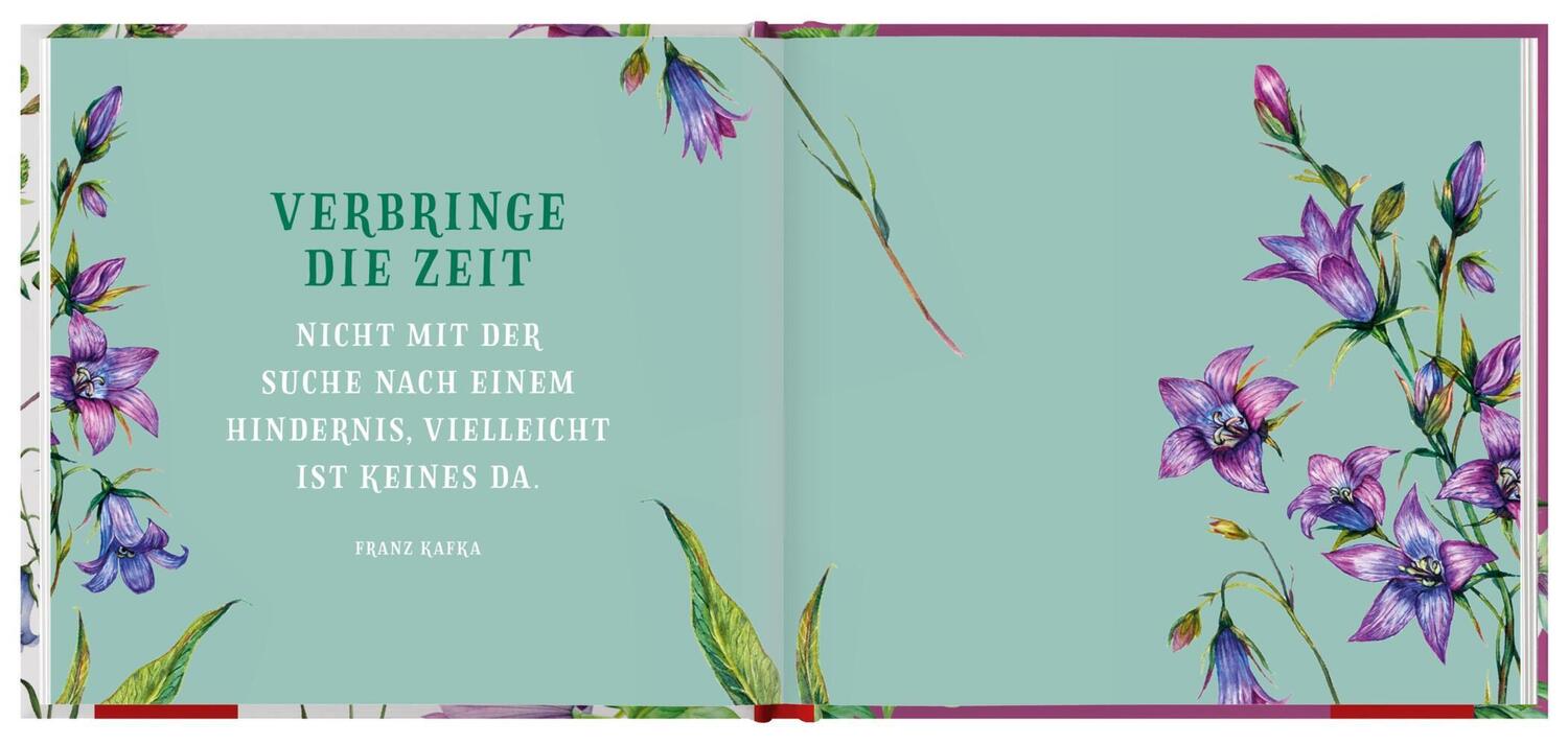 Bild: 9783848524259 | Alles Liebe | Groh Verlag | Buch | 48 S. | Deutsch | 2020
