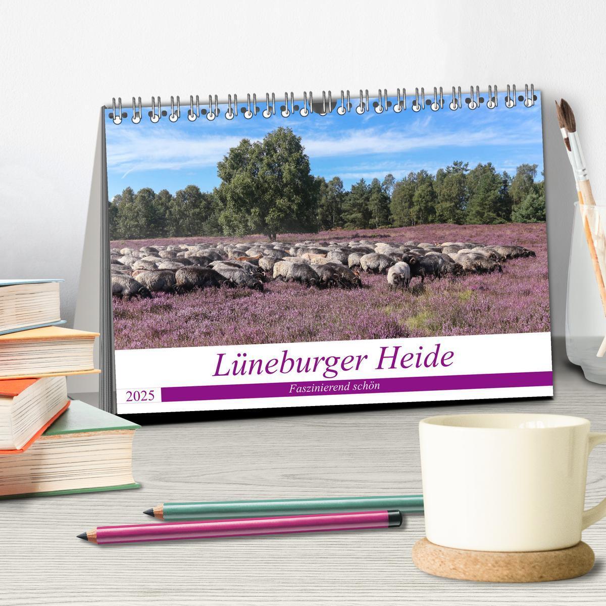 Bild: 9783435457632 | Lüneburger Heide - Faszinierend schön (Tischkalender 2025 DIN A5...