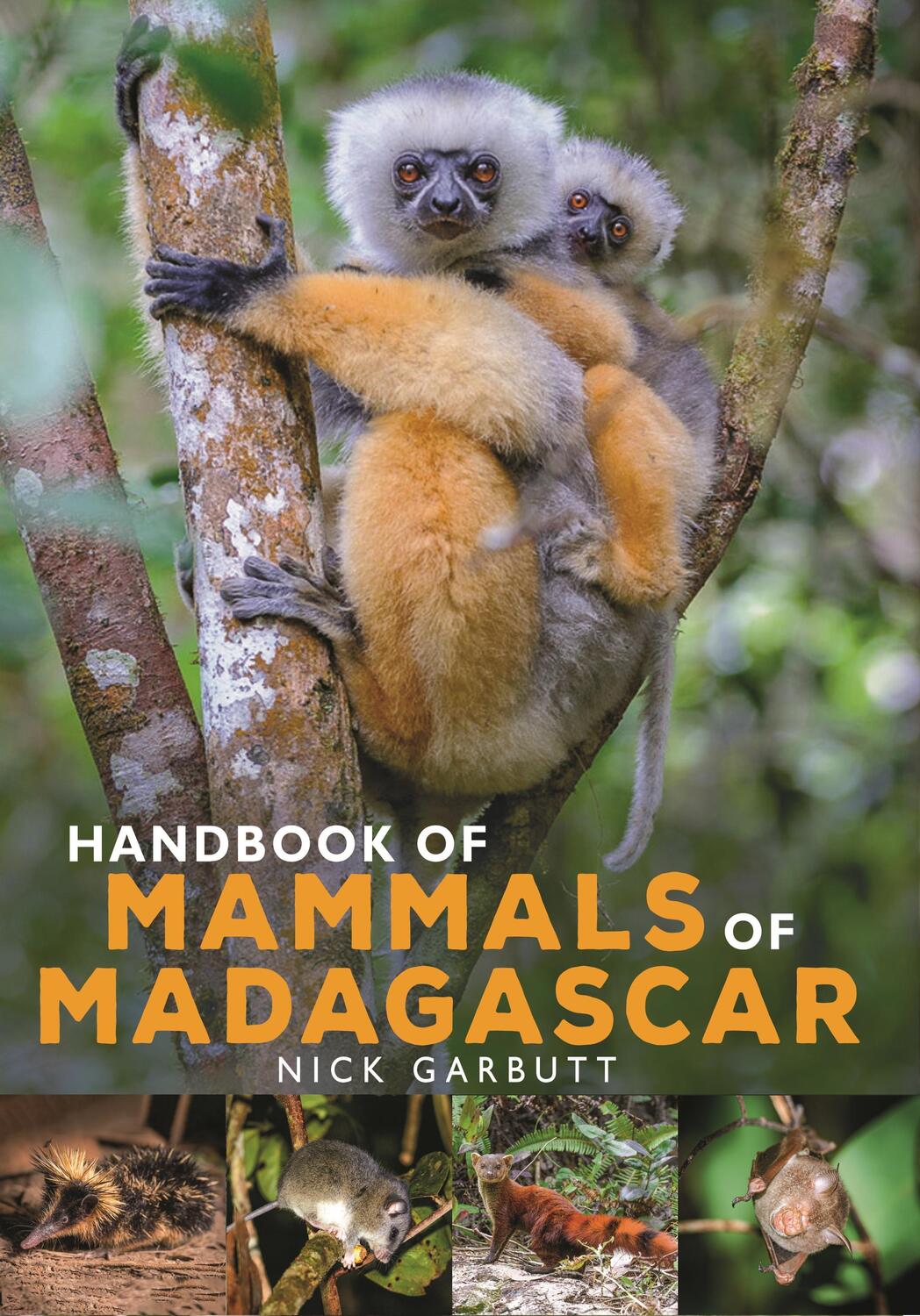 Cover: 9781472985934 | Handbook of Mammals of Madagascar | Nick Garbutt | Buch | Gebunden