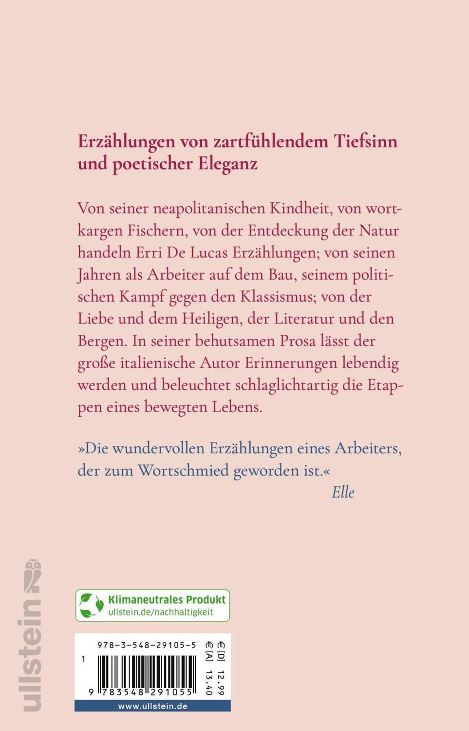 Rückseite: 9783548291055 | Die Stadt antwortete nicht | Erri de Luca | Taschenbuch | 144 S.