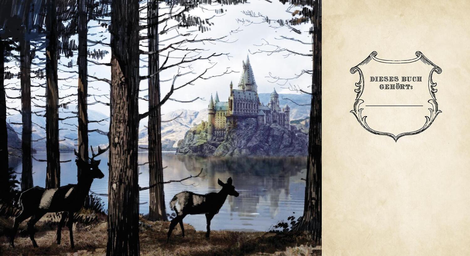 Bild: 4026898004230 | Harry Potter: Notizbuch Hogwarts (in Lederoptik mit Gummiband und...