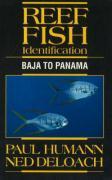 Cover: 9781878348388 | Reef Fish Identification | Baja to Panama | Paul Humann (u. a.) | Buch