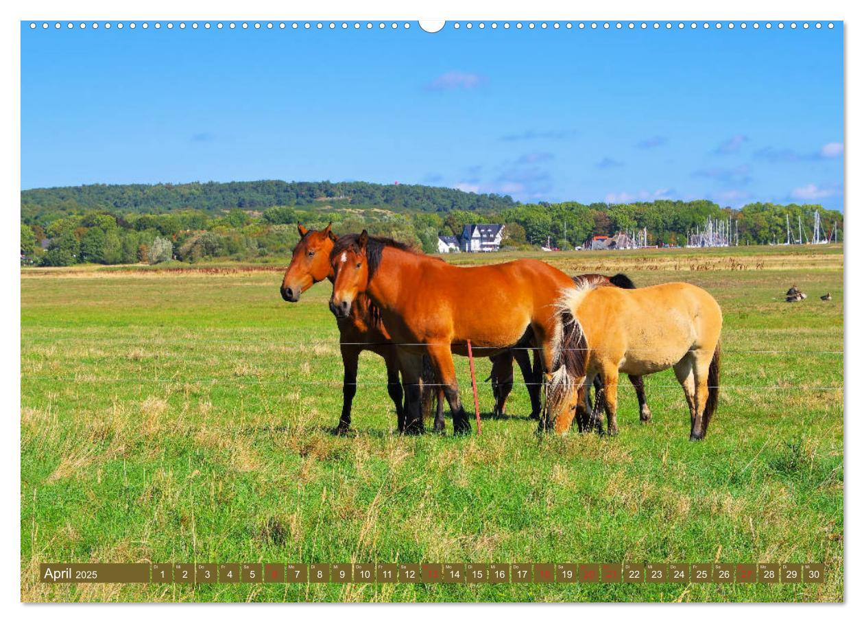 Bild: 9783435264605 | Insel Hiddensee - Dat söte Länneken (Wandkalender 2025 DIN A2...