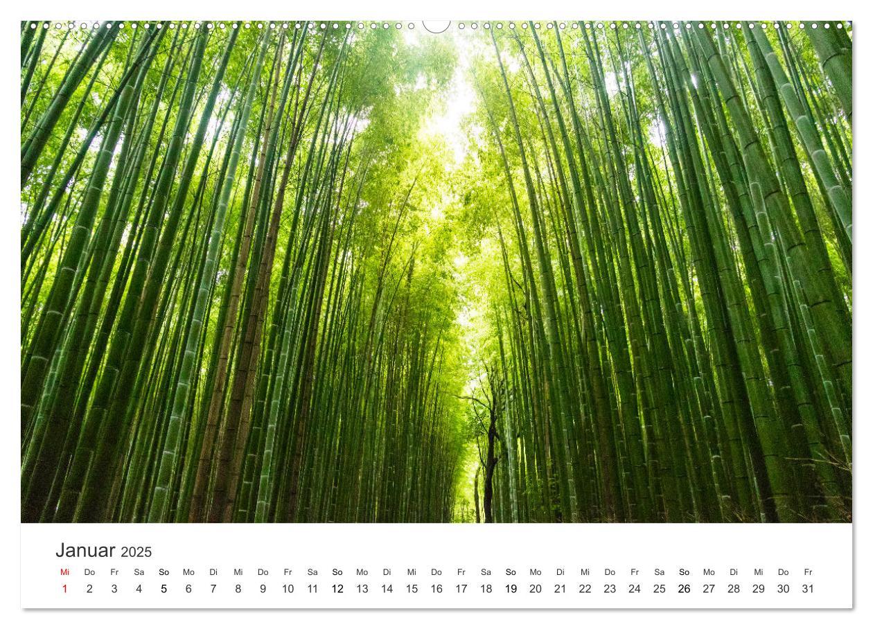 Bild: 9783435073054 | Japan - Land der Kontraste (Wandkalender 2025 DIN A2 quer),...