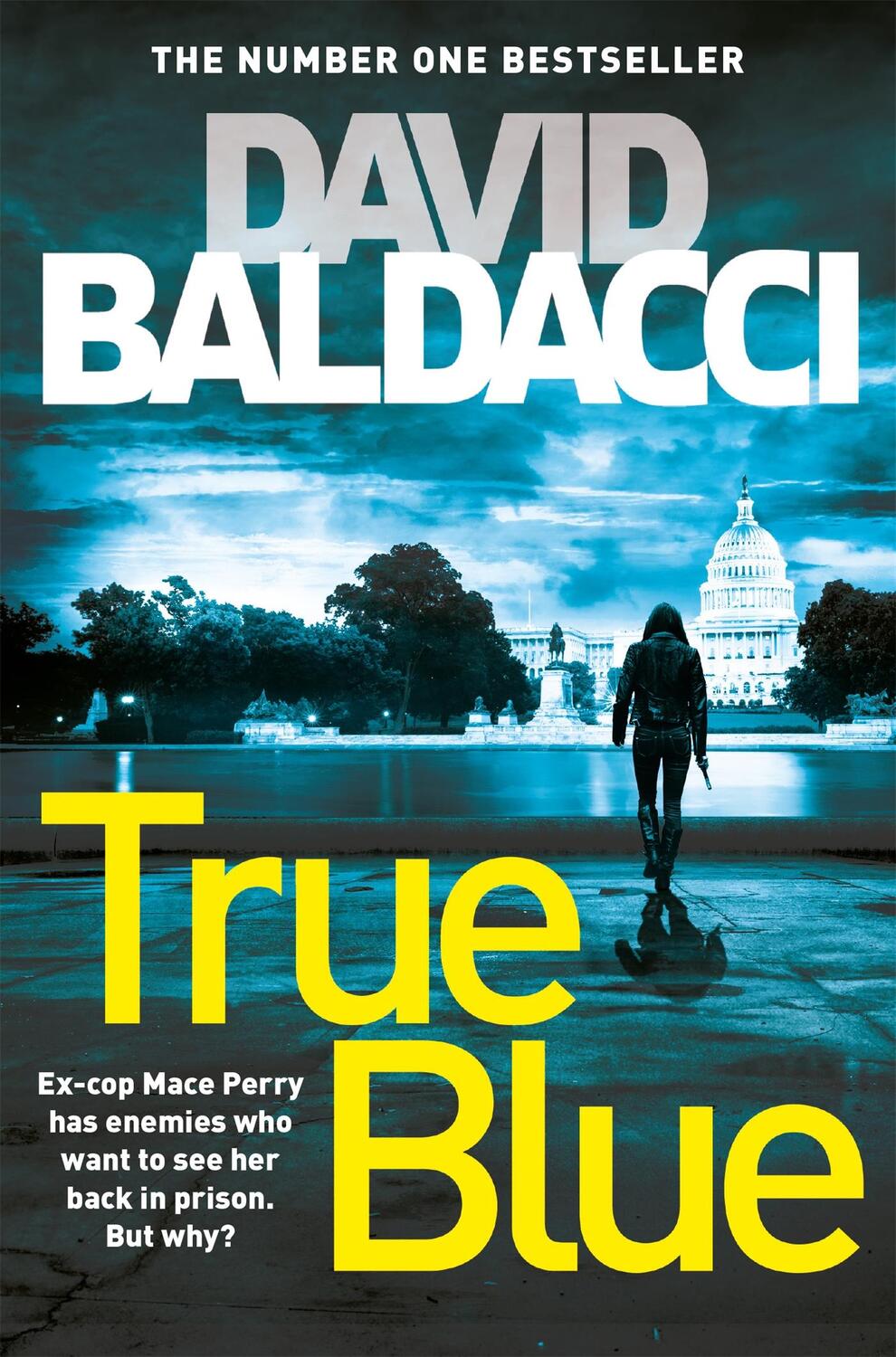 Cover: 9781509859726 | True Blue | David Baldacci | Taschenbuch | Kartoniert / Broschiert