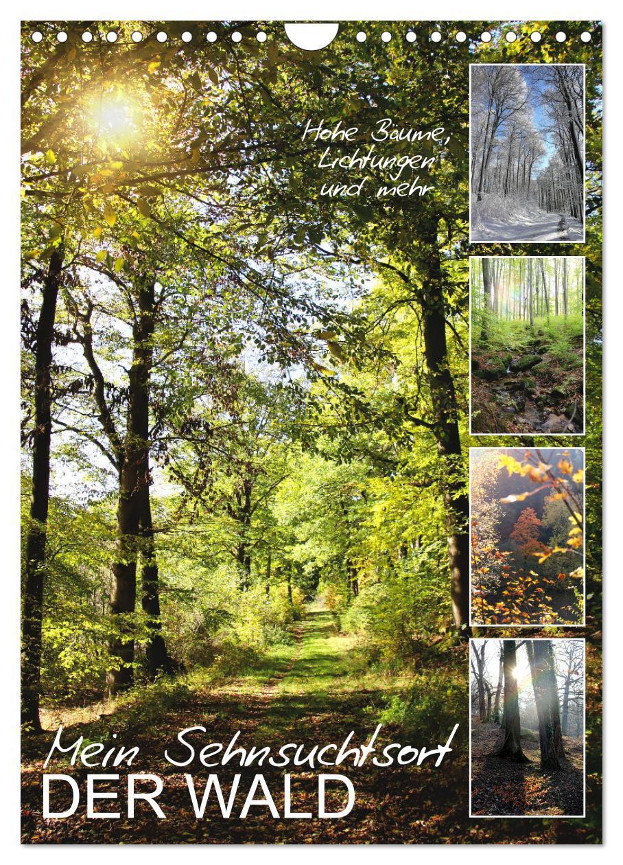 Cover: 9783675551848 | Mein Sehnsuchtsort, der Wald (Wandkalender 2024 DIN A4 hoch),...