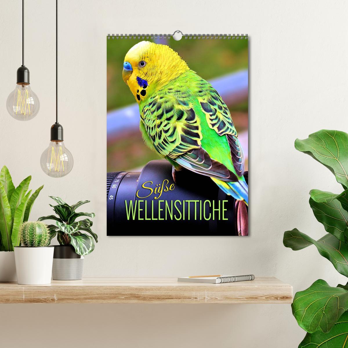 Bild: 9783435888139 | Süße Wellensittiche (Wandkalender 2025 DIN A3 hoch), CALVENDO...