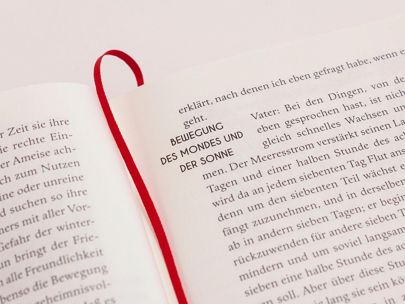 Bild: 9783847704171 | Der Königsspiegel | Rudolf Meißner | Buch | Die Andere Bibliothek