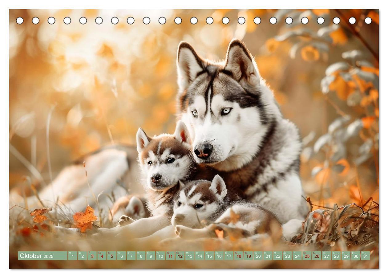 Bild: 9783383789274 | Tierkinder des Nordens (Tischkalender 2025 DIN A5 quer), CALVENDO...