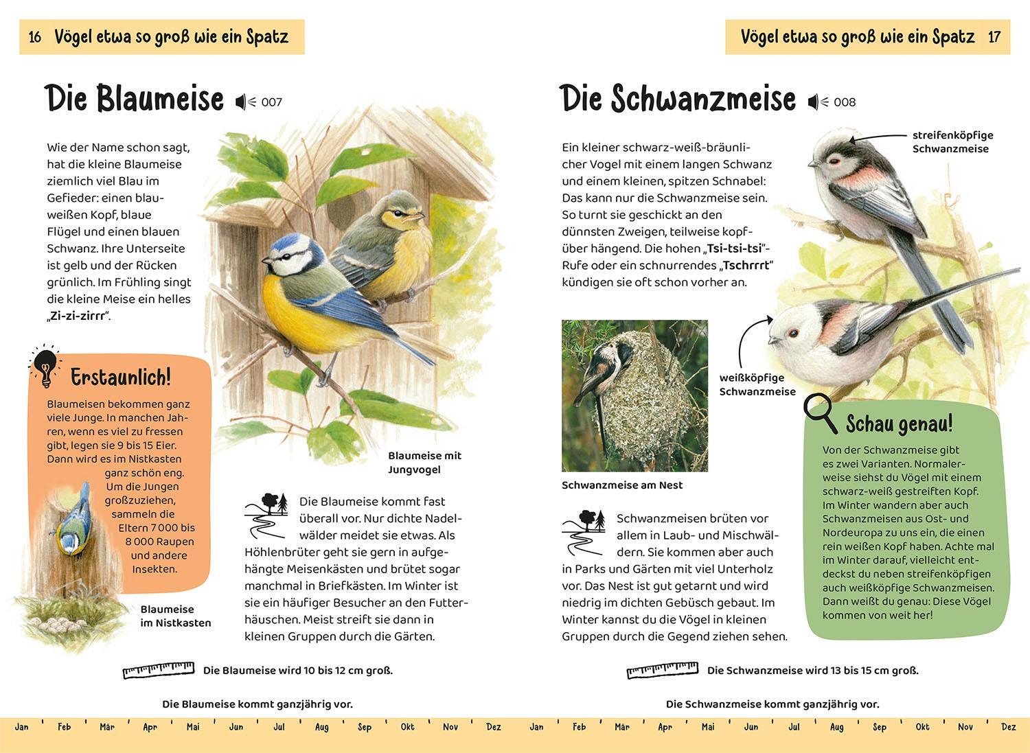 Bild: 9783440175736 | Welcher Gartenvogel ist das? Kindernaturführer | Holger Haag | Buch