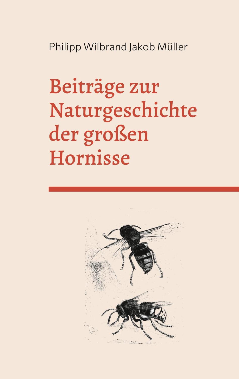 Cover: 9783756816019 | Beiträge zur Naturgeschichte der großen Hornisse | Müller | Buch