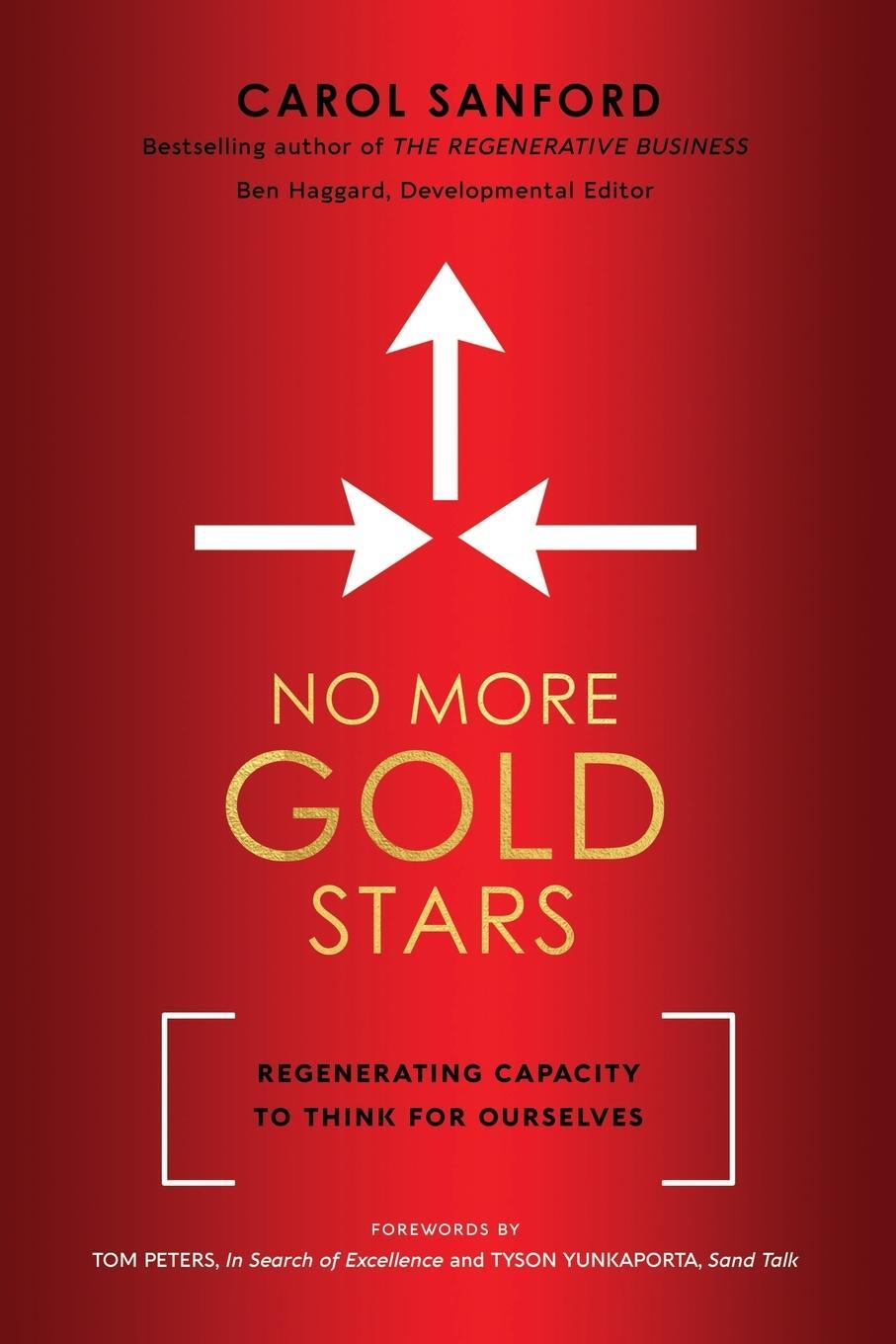 Cover: 9780989301381 | No More Gold Stars | Regenerating Capacity to Think for Ourselves