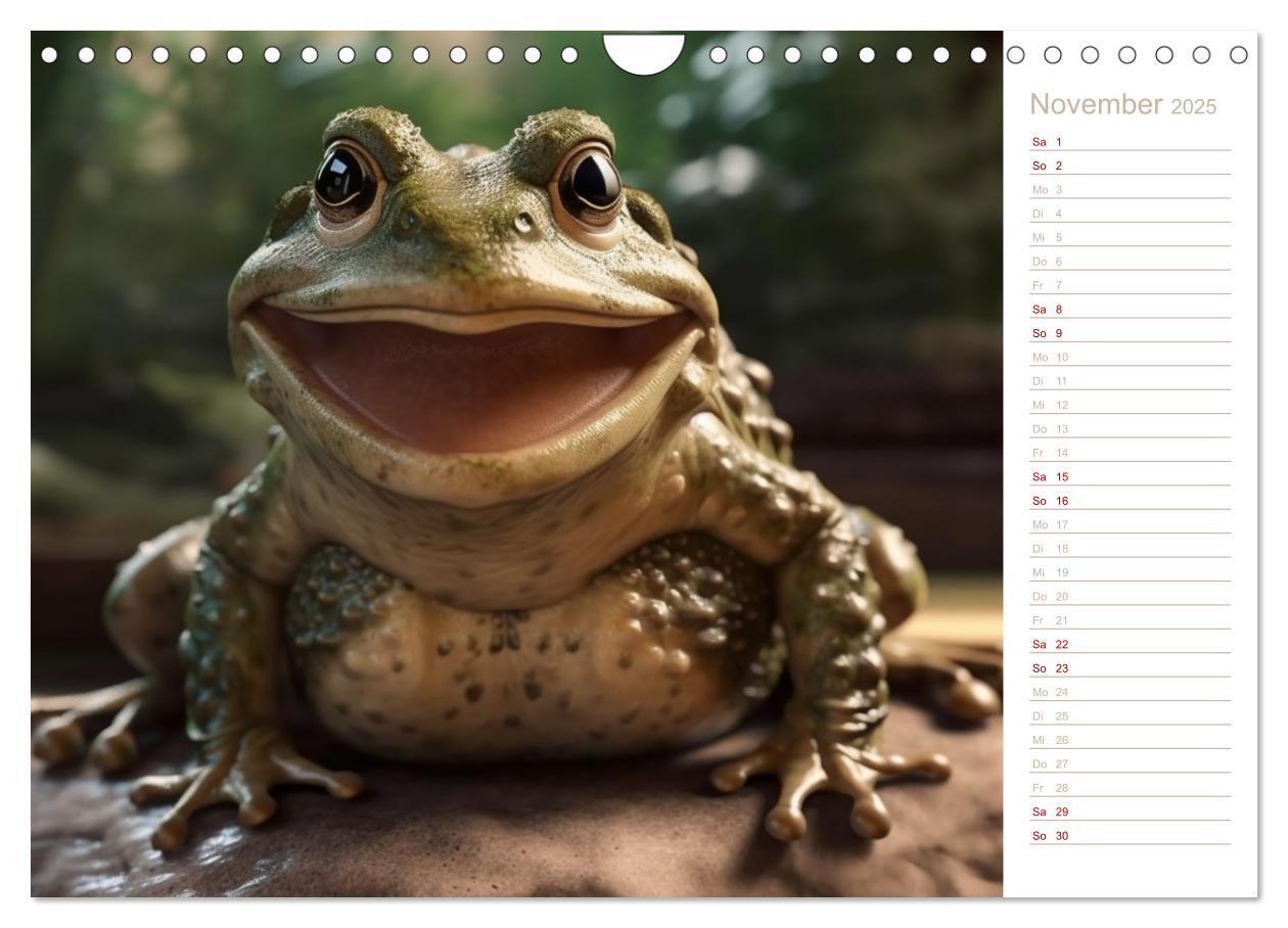 Bild: 9783383909887 | Lachende Frösche (Wandkalender 2025 DIN A4 quer), CALVENDO...