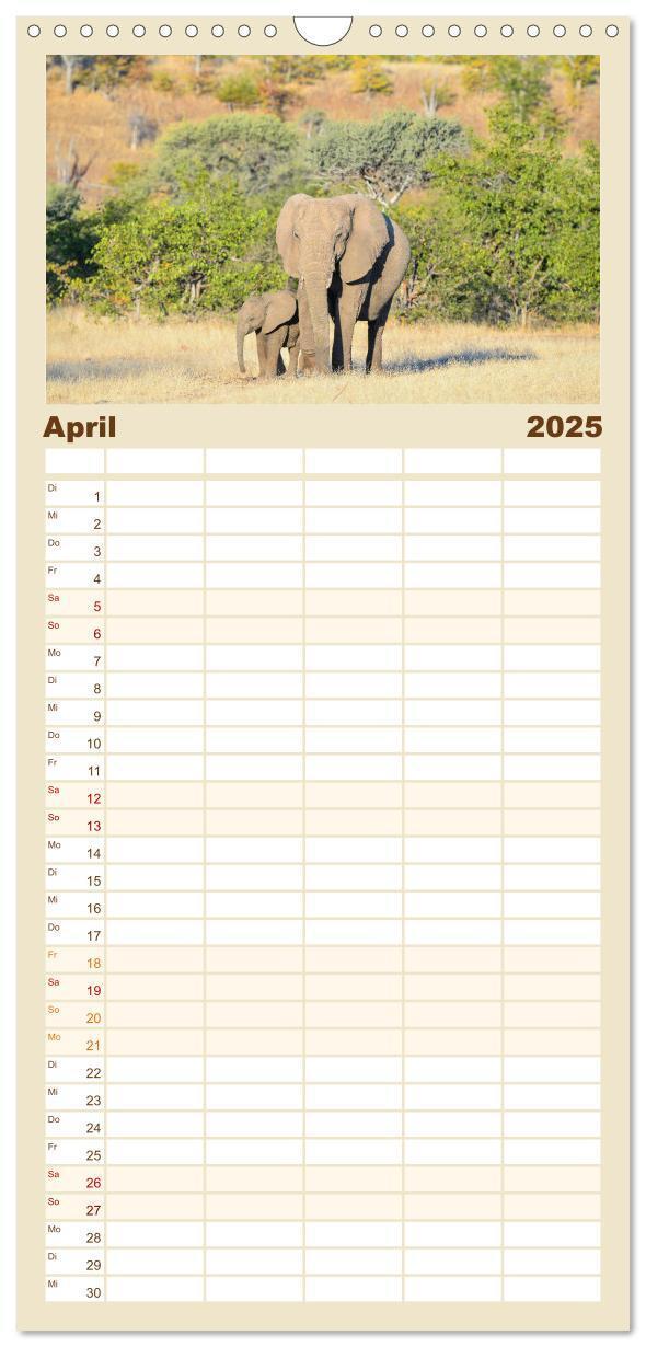 Bild: 9783457108970 | Familienplaner 2025 - Babyelefanten mit 5 Spalten (Wandkalender, 21...