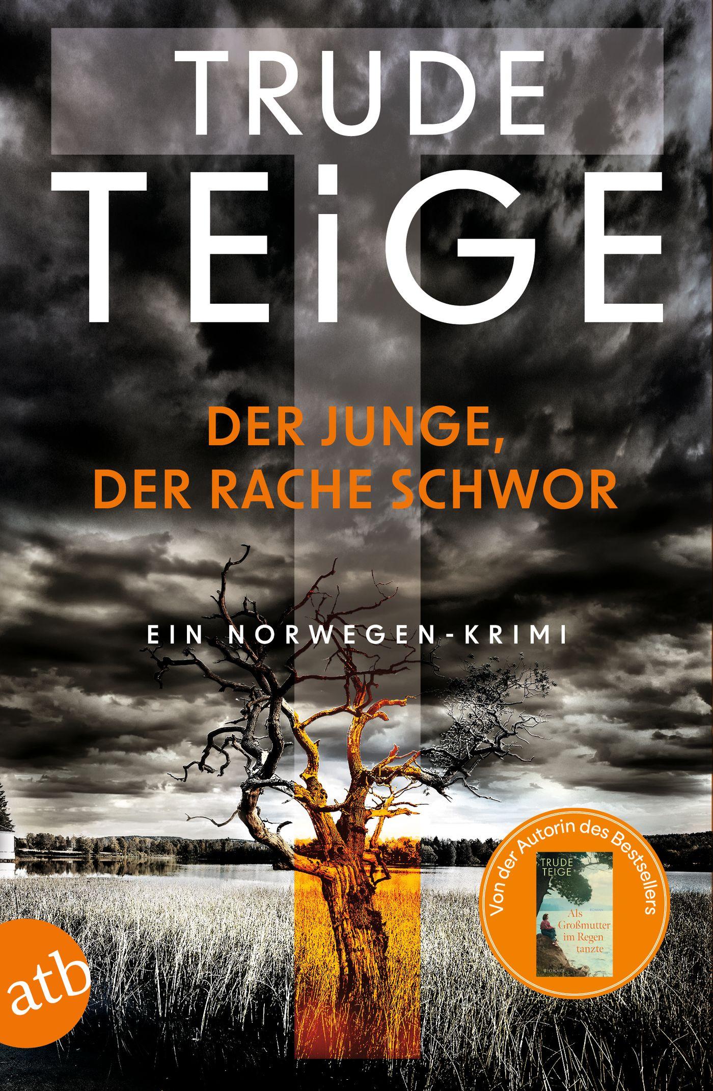 Cover: 9783746642291 | Der Junge, der Rache schwor | Ein Norwegen-Krimi | Trude Teige | Buch