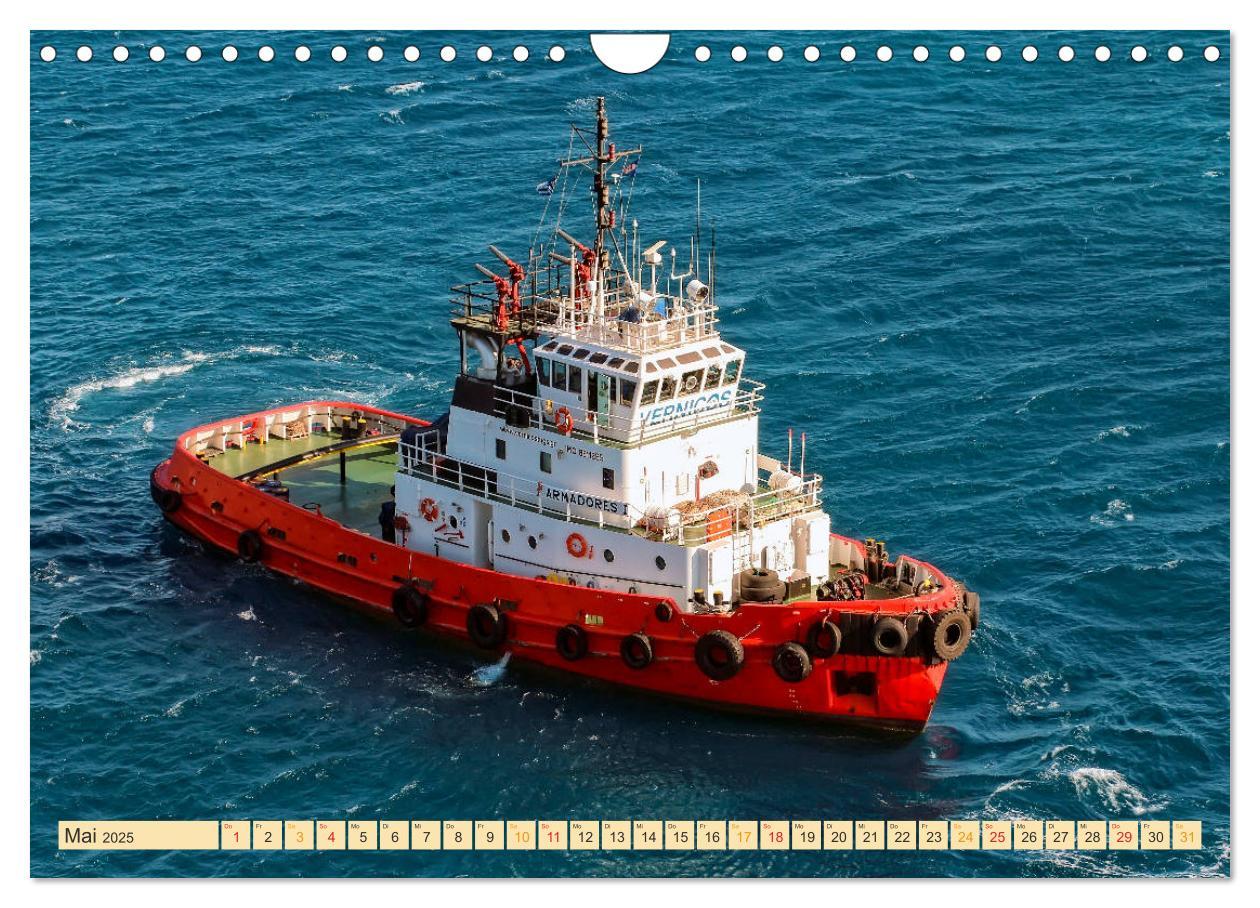 Bild: 9783435278664 | Schlepper - bärenstarke Arbeitstiere (Wandkalender 2025 DIN A4...