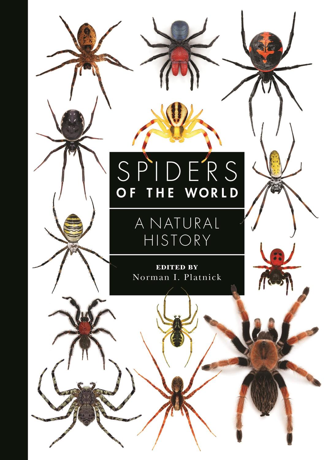 Cover: 9780691188850 | Spiders of the World | A Natural History | Norman I Platnick | Buch
