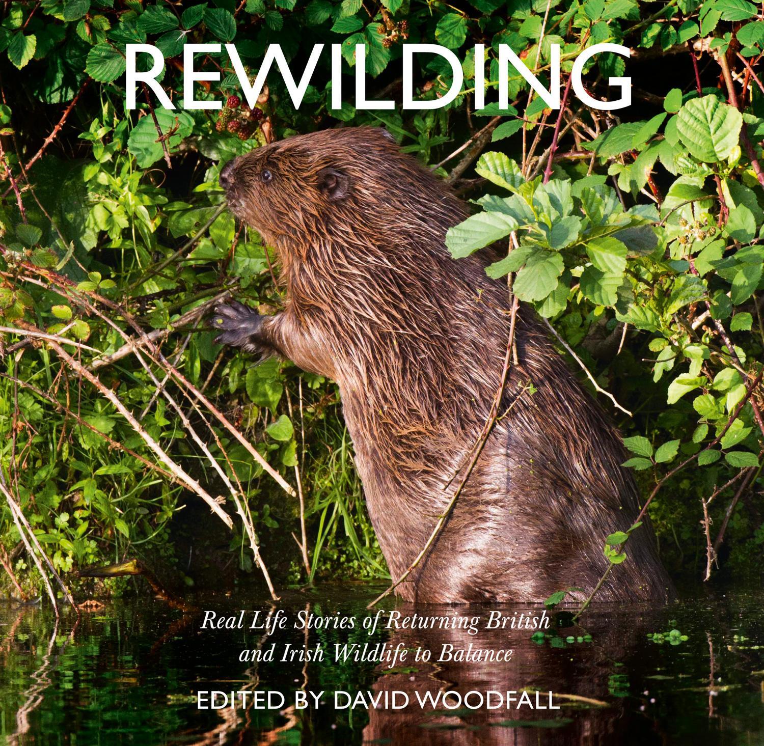 Cover: 9780008300470 | Rewilding | David Woodfall | Taschenbuch | Kartoniert / Broschiert