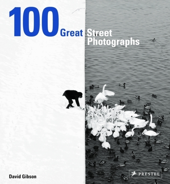 Cover: 9783791383132 | 100 Great Street Photographs | David Gibson | Buch | Englisch | 2017