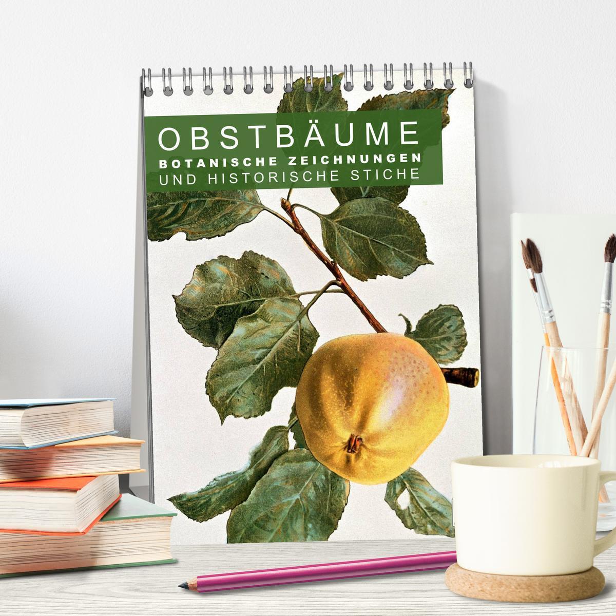 Bild: 9783457045695 | Obstbäume: Botanische Zeichnungen und historische Stiche...