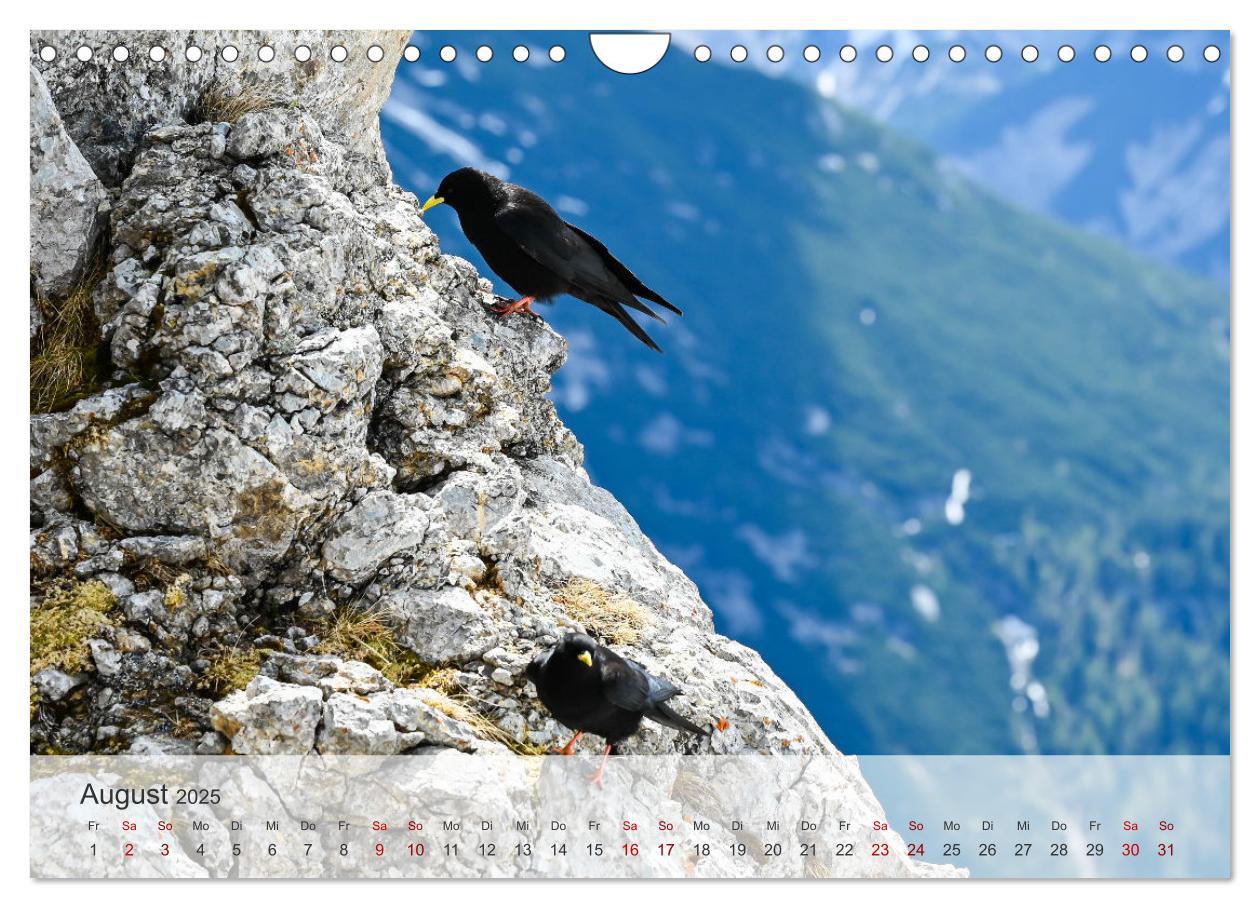 Bild: 9783457127759 | Alpenwelten-Zwischen Wetterstein und Karwendel (Wandkalender 2025...