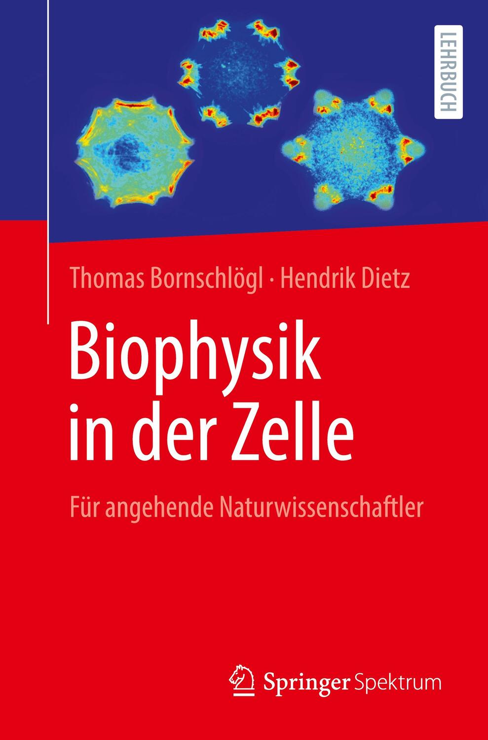 Cover: 9783662616086 | Biophysik in der Zelle | Für Studierende der Naturwissenschaften