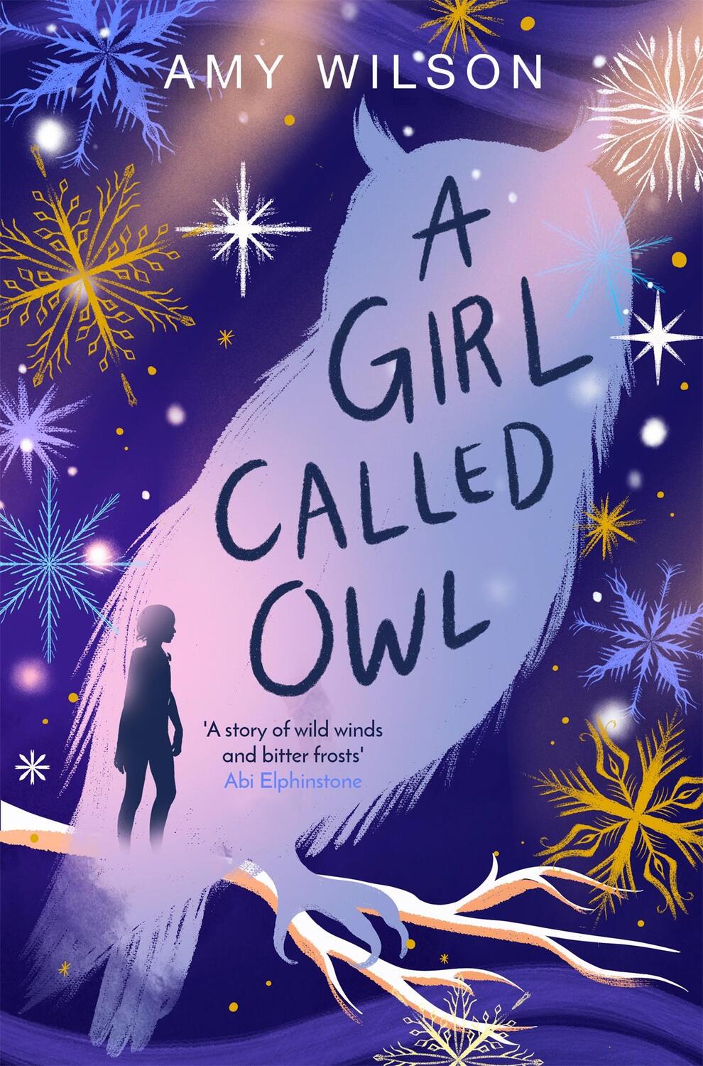 Cover: 9781529057751 | A Girl Called Owl | Amy Wilson | Taschenbuch | Kartoniert / Broschiert