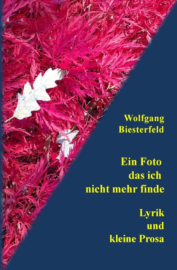 Cover: 9783753167701 | Ein Foto das ich nicht mehr finde | Lyrik und kleine Prosa | Buch