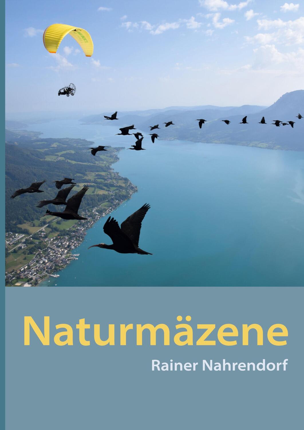 Cover: 9783384027719 | Naturmäzene | Rainer Nahrendorf | Taschenbuch | Paperback | 204 S.