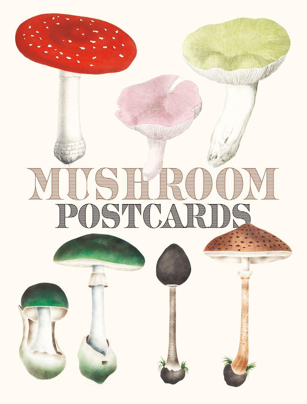 Cover: 9784756253804 | Mushroom Postcards | Buch | Gebunden | Englisch | 2020