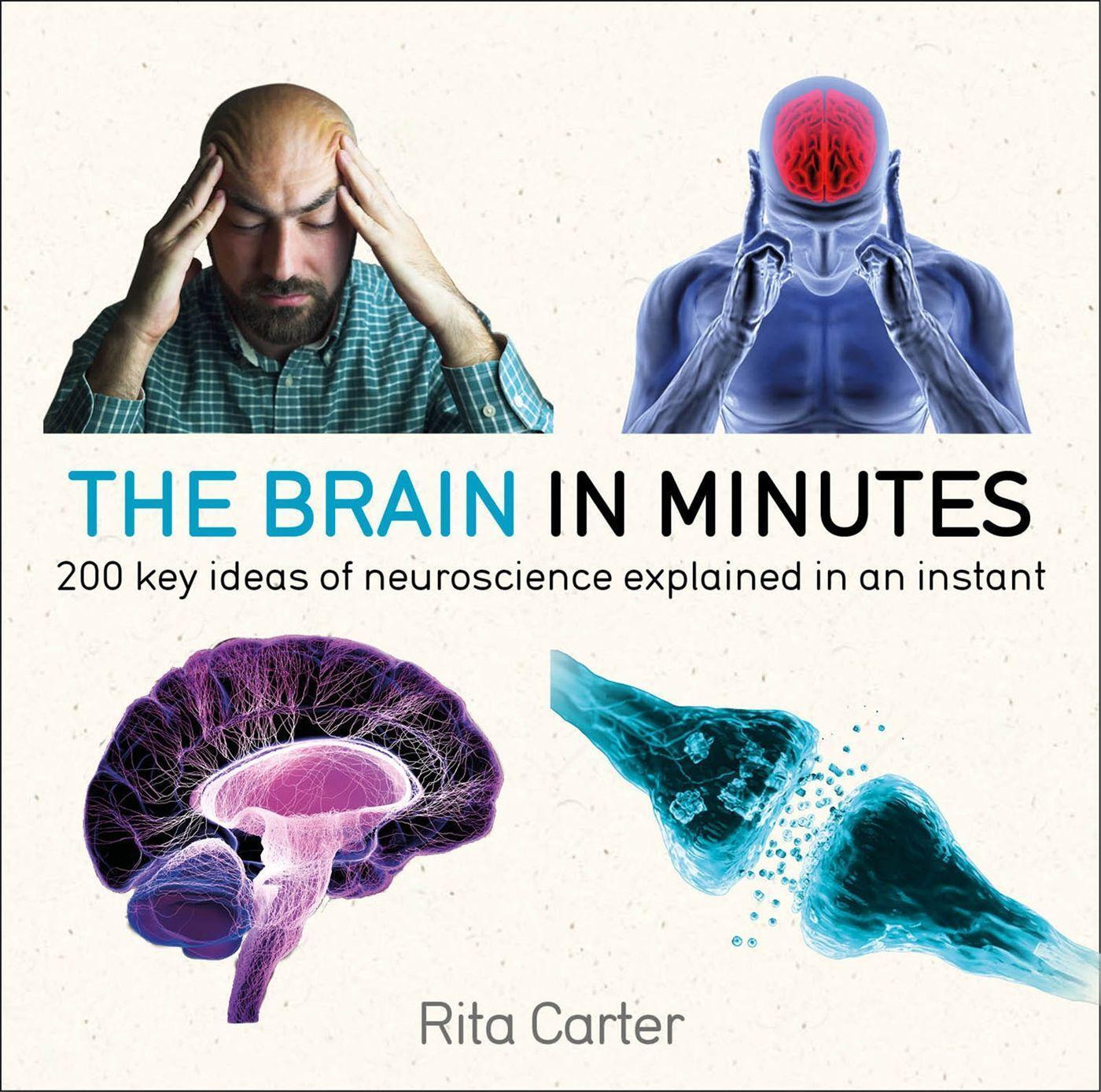 Cover: 9781786485793 | The Brain in Minutes | Rita Carter | Taschenbuch | In Minutes | 2018