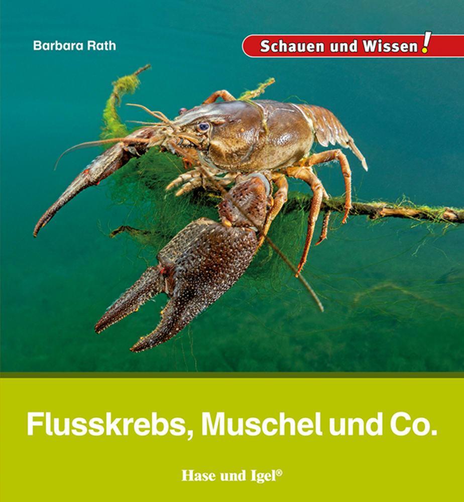 Cover: 9783863164669 | Flusskrebs, Muschel und Co. | Schauen und Wissen! | Barbara Rath