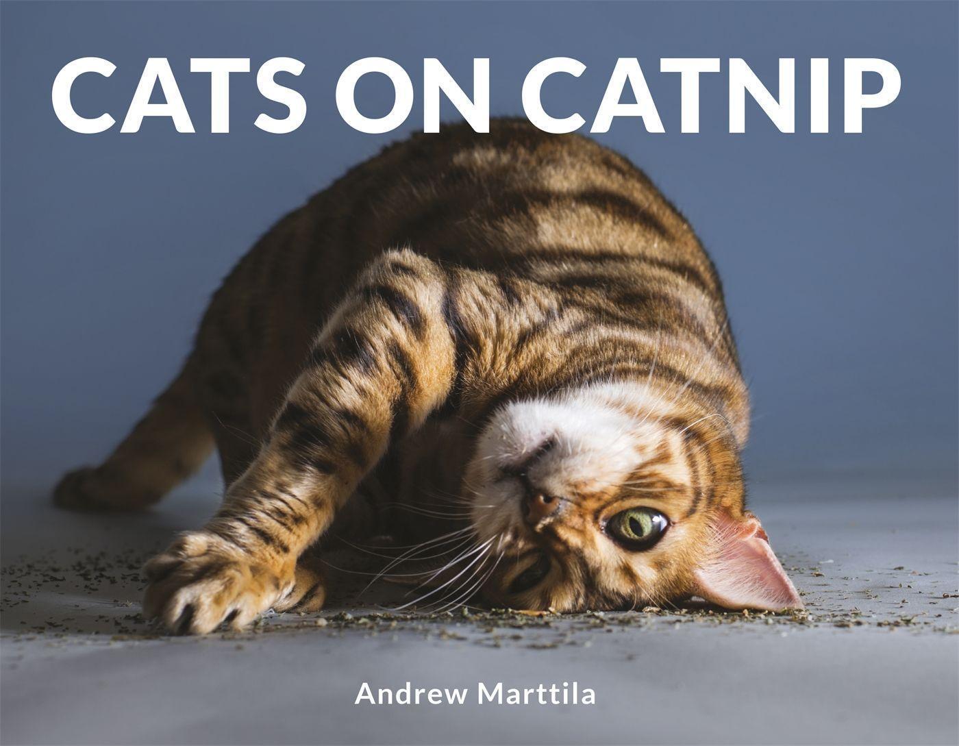Cover: 9781472142672 | Marttila, A: Cats on Catnip | Andrew Marttila | Gebunden | Englisch