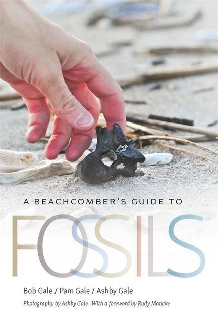 Cover: 9780820357324 | A Beachcomber's Guide to Fossils | Bob Gale (u. a.) | Taschenbuch