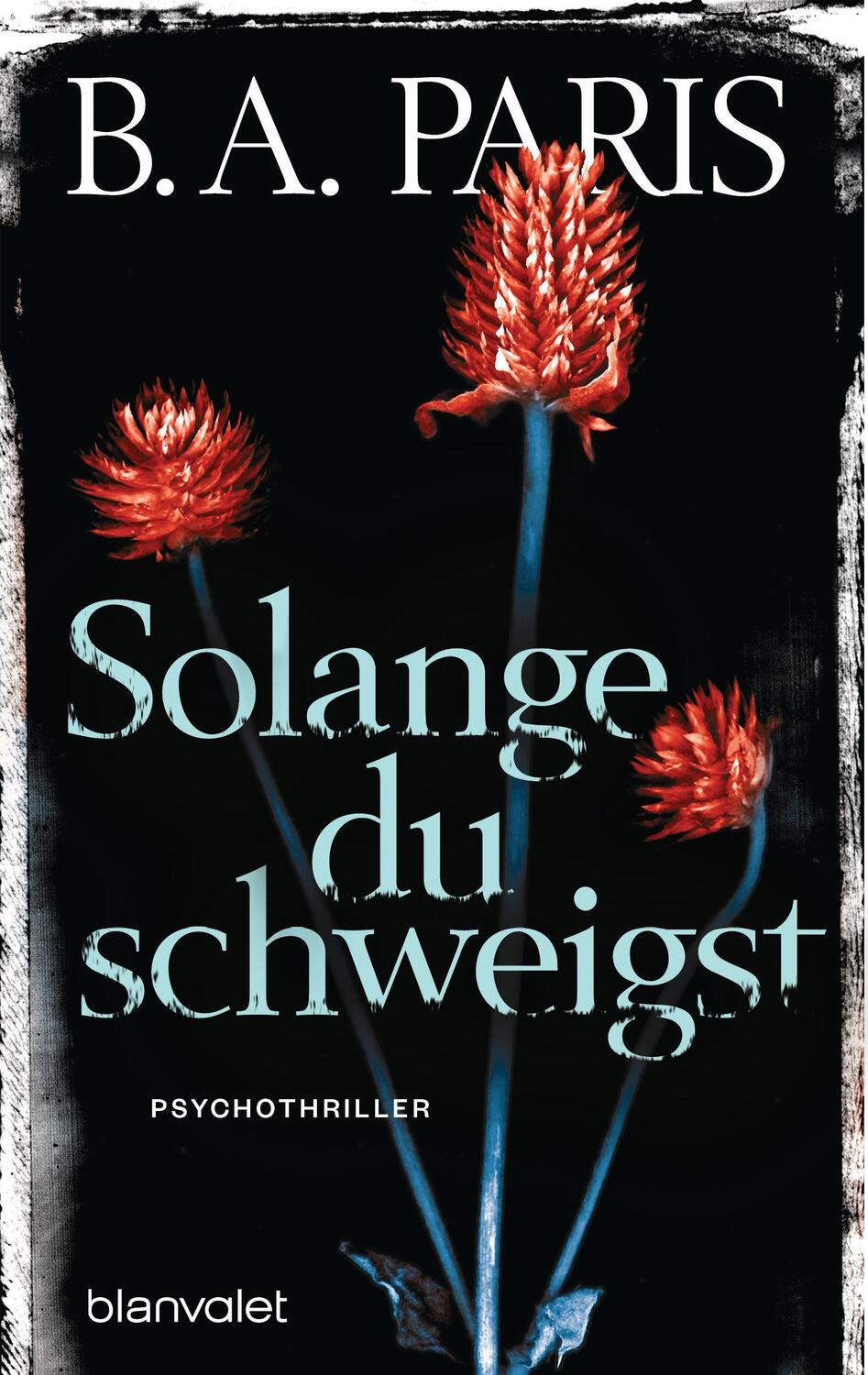 Cover: 9783734107832 | Solange du schweigst | Psychothriller | B. A. Paris | Taschenbuch
