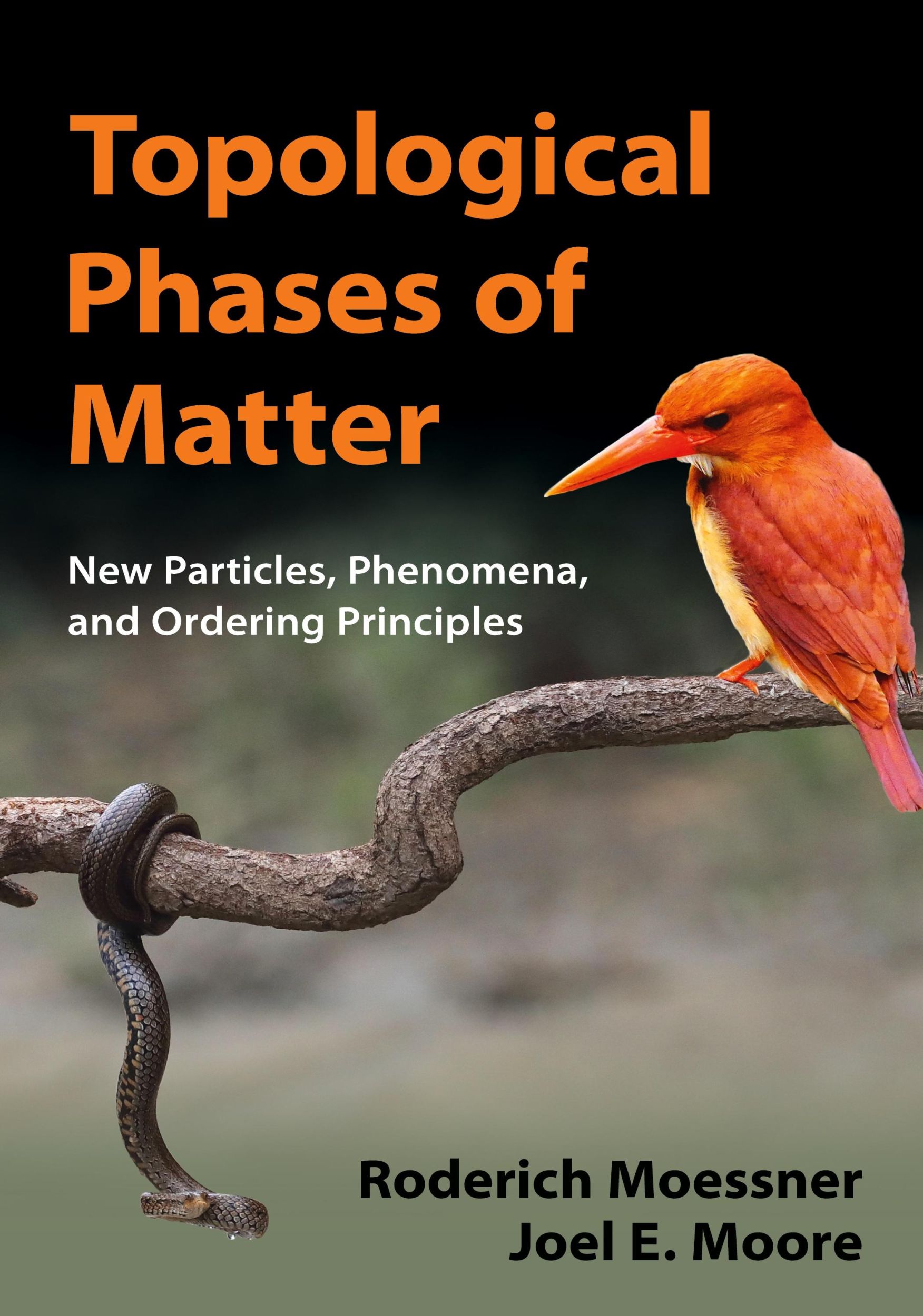 Cover: 9781107105539 | Topological Phases of Matter | Joel E. Moore | Buch | Gebunden | 2021