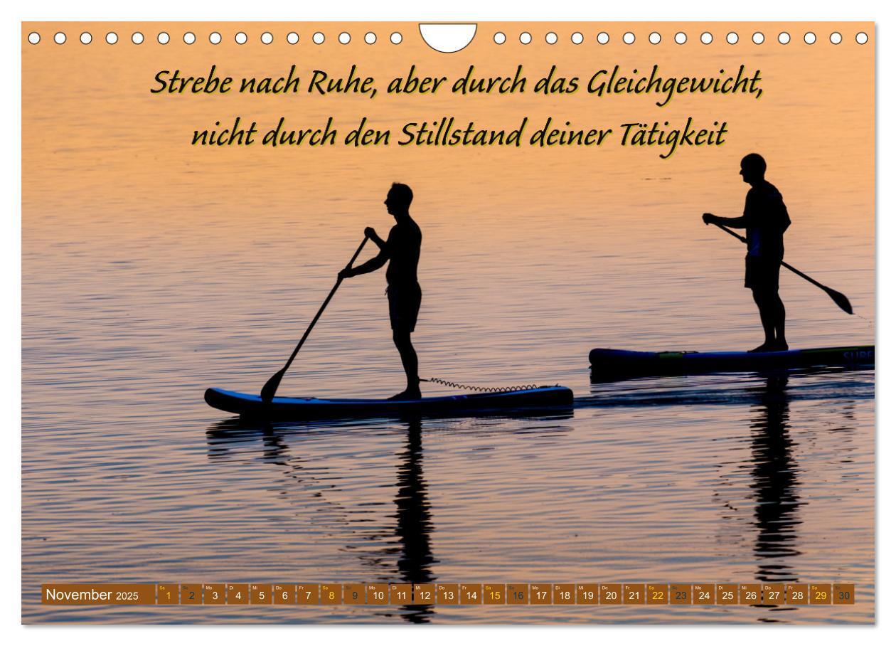 Bild: 9783383867514 | Schwimmen und SUP Begleitet mit coolen Sprüchen (Wandkalender 2025...