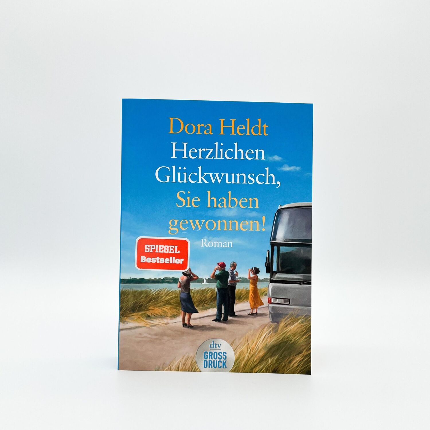 Bild: 9783423253604 | Herzlichen Glückwunsch, Sie haben gewonnen! | Dora Heldt | Taschenbuch