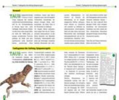 Bild: 9783866591707 | Die australische Taubagame | Tympanocryptis Tetraporophora | Buch