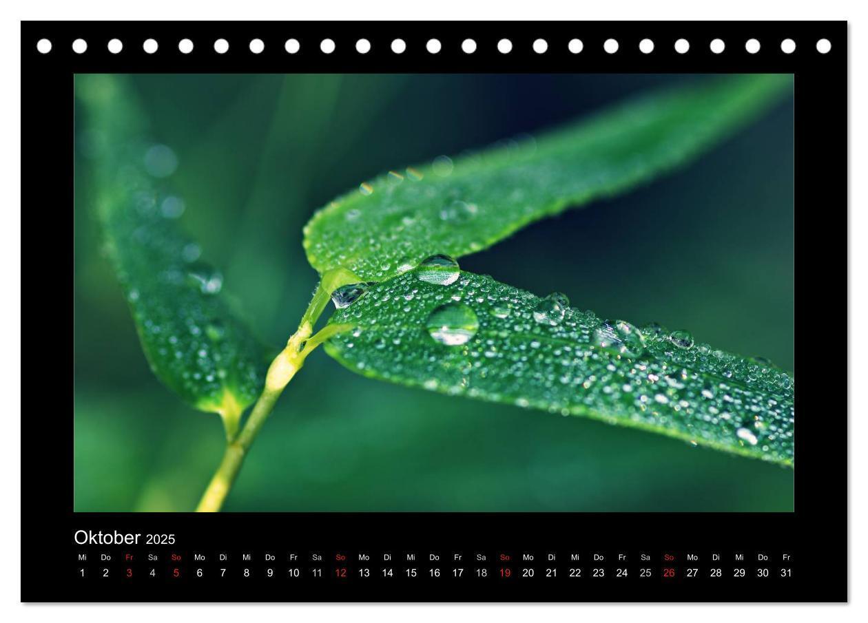 Bild: 9783435838981 | Meine kleine grüne Wassertropfen Welt (Tischkalender 2025 DIN A5...