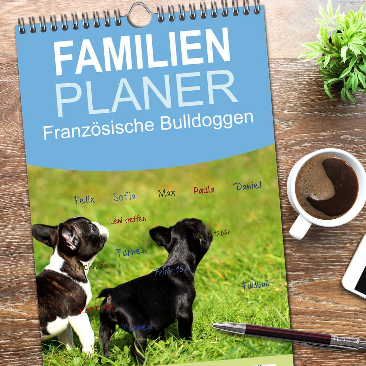 Bild: 9783457111185 | Familienplaner 2025 - Französische Bulldoggen mit 5 Spalten...