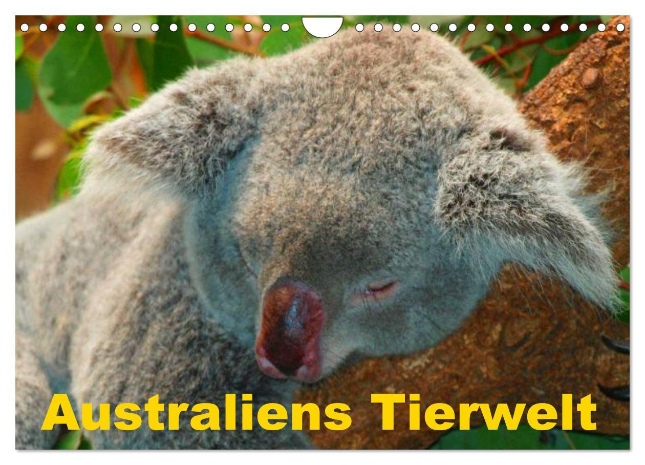 Cover: 9783435740550 | Australiens Tierwelt (Wandkalender 2025 DIN A4 quer), CALVENDO...