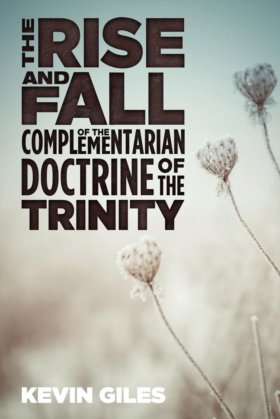 Cover: 9781532618666 | The Rise and Fall of the Complementarian Doctrine of the Trinity