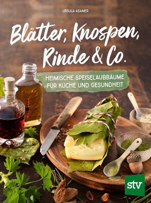 Cover: 9783702019549 | Blätter, Knospen, Rinde &amp; Co. | Ursula Asamer | Buch | 200 S. | 2022