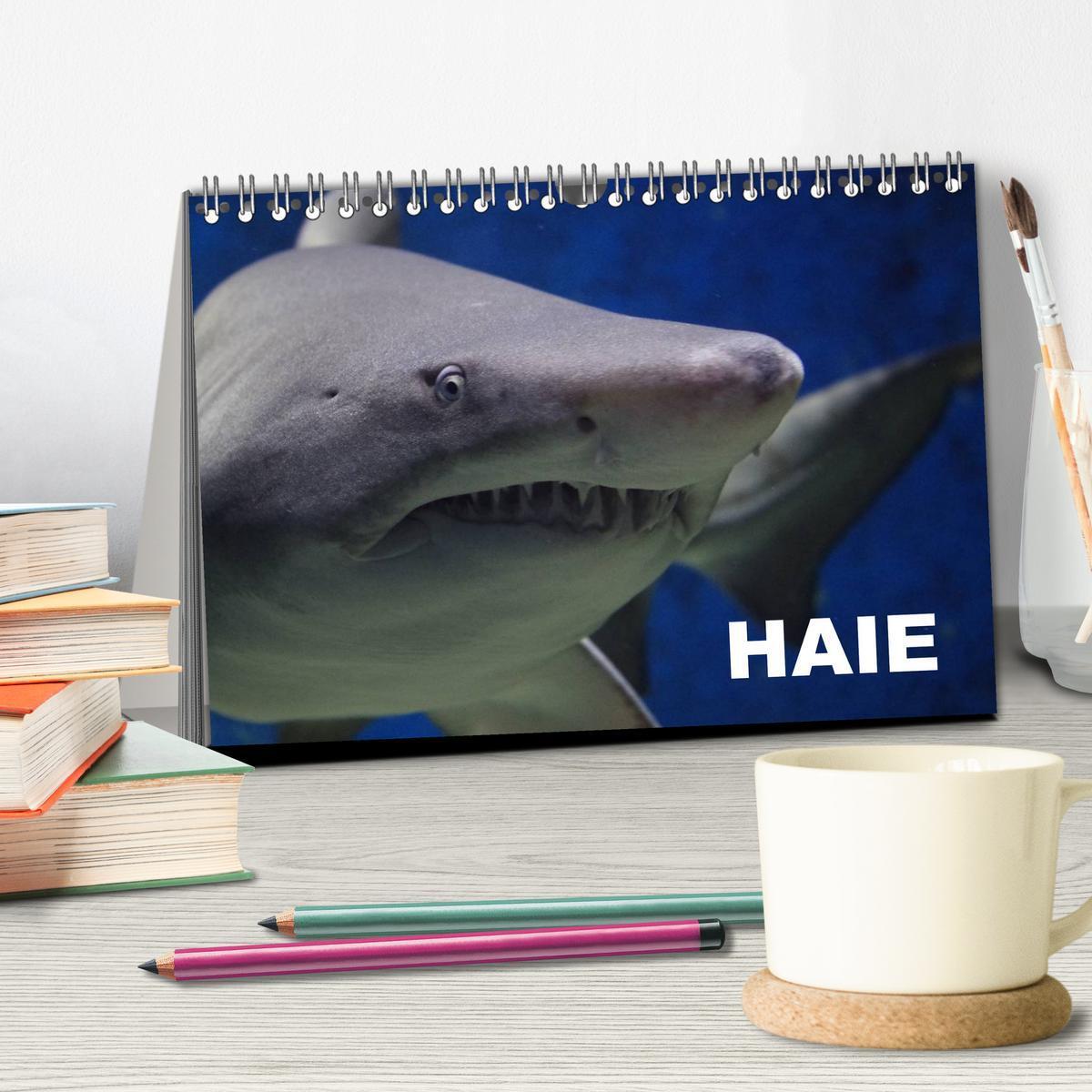 Bild: 9783435522347 | Haie (Tischkalender 2025 DIN A5 quer), CALVENDO Monatskalender | 2025